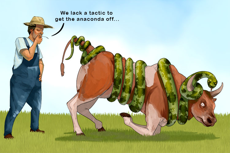 We lack a tactic (lactic) to get the anaconda off. That ox has no oxygen (without oxygen)